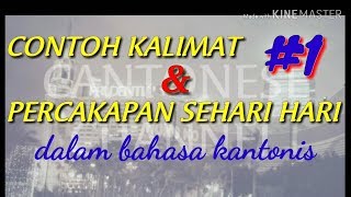 VIDEO 62 CONTOH CONTOH KALIMAT DGN KATA KERJA SEHARI HARI