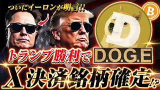 【仮想通貨】ついにイーロンが明言!!Xの決済通貨は「DOGE(ドージコイン)」で確定か?!直近で価格が急騰した理由を徹底解説!!【ビットコイン】【SHIB】【XRP】【トランプ】【大統領選】