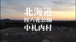 Mavic Air空撮北海道河西郡中札内村桜六花公園