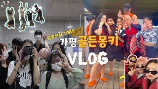 [vlog]22학번 종강하고 첫 여행 / 어질어질한 식영과들의 여행 브이로그 / 가평 브이로그 / 빠지 /골든몽키