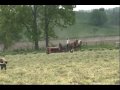 Amish Country - Take a ride in beautiful Holmes County, Ohio