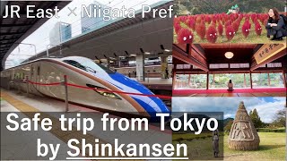 Safe Trip by Shinkansen from Tokyo, Japan【NIigata Pref × JR east】