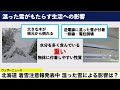 北海道 着雪注意報発表中 湿った雪による影響は？