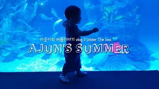 아준이의여름이야기 vlog 3 Under The Sea