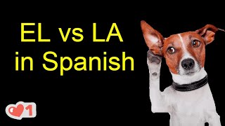 How to use El and LA in Spanish - Como usar EL - LA - \