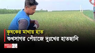 বালাইনাশকে পেঁয়াজ চাষীদের সর্বনাশ | Banglanews24