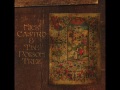 Nick Castro & The Poison Tree [US, Neofolk/Psych 2005] Unborn Child