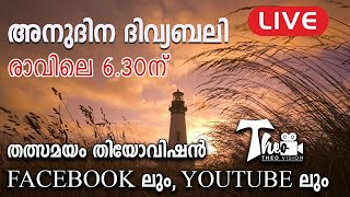 അനുദിന ദിവ്യബലി  , ആണ്ടുവട്ടത്തിലെ  എട്ടാം വാരം  ,  ചൊവ്വ        || Daily Mass 25/05/2021