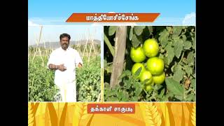 Pon Vilaiyum Bhoomi (21.06.2021) Successful  Farmer Story: