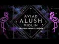 Cassian - Aran El Sueno (Aviad Alush Violin Mashup) Melodic Techno Experience