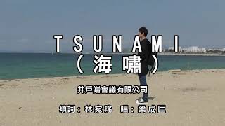 TSUNAMI（中国語）