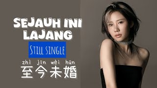 至今未婚 • Zhi Jin Wei Hun • 向思思 • Xiang Si Si • Sejauh Ini Lajang • Still Single • Chinese Song • Lirik