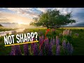 Where To FOCUS In Landscape Photography