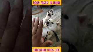 घर मे dog पालने के फायदे