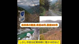 剣道(県道)48号洞川下市線と酷道(国道)309号線.奈良の山岳ﾙｰﾄ走行と大滝ﾀﾞﾑ地滑り跡訪問と災害の概要説明。2023年11月20日..