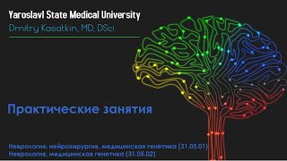 A2 9.1 Сосудистая патология - морфофизиология сосудистой системы головного мозга