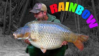 RAINBOW - The worlds most EXTREME CARP FISHING