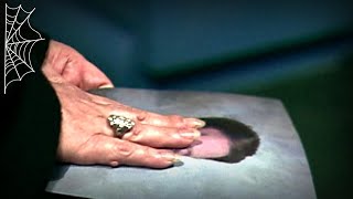 How Psychics Helped Solve Two Unimaginable Missing Persons Cases
