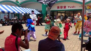 さのよいファイヤーカーニバル   ふくこい踊り隊 「一祭合祭」