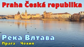 Река Влтава Прага Чехия