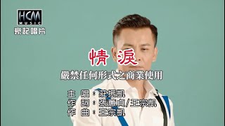 莊振凱-情淚【KTV導唱字幕】1080p