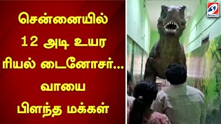 சென்னையில் 12 அடி உயர ரியல் டைனோசர்... வாயை பிளந்த மக்கள் | sathiyamtv