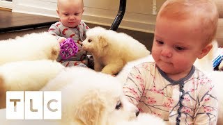 Babies And Puppies Cause Chaos In The Waldrop House! | Sweet Home Sextuplets