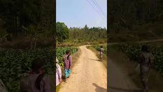 লামা বান্দরবান । Lama Bandorban  । #video #real