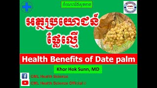 អត្ថប្រយោជន៍ផ្លែល្មើ l Health Benefits of Date palm l ចំណេះដឹងសុខភាព l CML Health Science