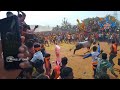 srp bodichipalli jallikattu festival mass performance