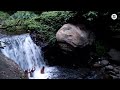 courtallam குற்றாலம் அருவி gundaru dam in tenkasi tenkasi shooting spot jeep trekking