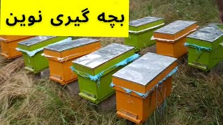 آموزش زنبورداری : بچه مصنوعی به سبک نوین