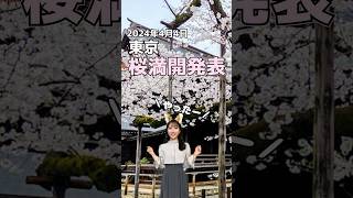 東京で桜満開発表【うおずミーム】#shorts #猫ミーム  #桜  #満開