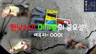 배스낚시 여름 한낮 시간 미끼빨의 중요성! 사은품웜 스팅거 bass fishing