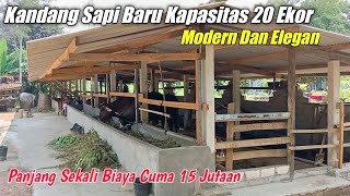 Kandang Sapi Baru Kapasitas 20 Ekor Bersih Nyaman Dan Elegan