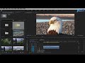 11.21.大师级转场 5300种转场过渡视觉特效包 adobe premiere 2020教程