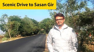 Rajkot to Sasan Gir Road Trip 🚗 | Sunrise 🌄 \u0026 Scenic Beauty | The Fern Gir Forest Resort Journey