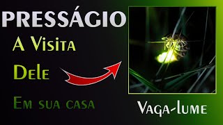 🏡 Presságio do Vaga-lume - A Mensagem do Universo para você!