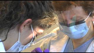 Level 2 - Dentistry - Parent Comment
