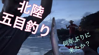 福井県敦賀湾沖堤防釣り