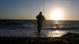 Λαβράκια στο κύμα 🌊🌊🌊!!!