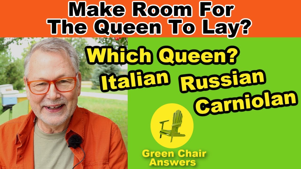 Beekeeping Answers To Your Fall Questions Youtube