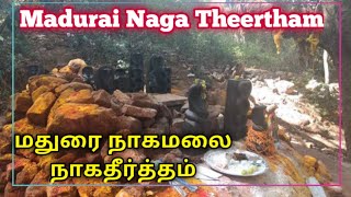 Madurai Naga Theertham - Nagamman Forrest Temple - Tamil | நாகமலை அடிவார நாகதீர்த்தம் வனக் கோவில்