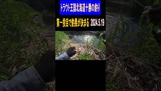 2024.5.19　トラウト王国北海道十勝の釣り　第一投で全てが決まる＃shorts