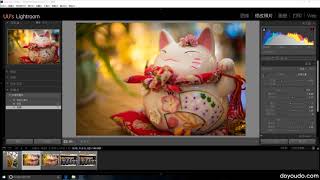 6/10、修改照片02《Lightroom 基础入门课程》【doyoudo 教程】