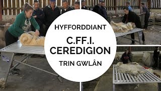 Hyfforddiant Trin Gwlân C.Ff.I. Ceredigion