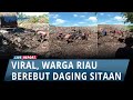 Viral Warga di Riau Berebut Daging Sitaan di Tumpukan Sampah, Begini Kata Bea Cukai!