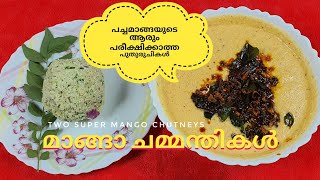 പുതു തലമുറയ്ക്ക് അറിയാത്ത നാടൻ രുചിയിൽ.. രണ്ടു പഴയ കാല മാങ്ങാ ചമ്മന്തികൾ  // Two old Mango chutneys