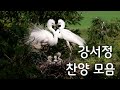 강서정 찬양 모음집 강서정 마랑가뚜방송