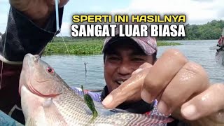 Tes Rangkaian pancing nila 3 mata kail||SUPER JITU.